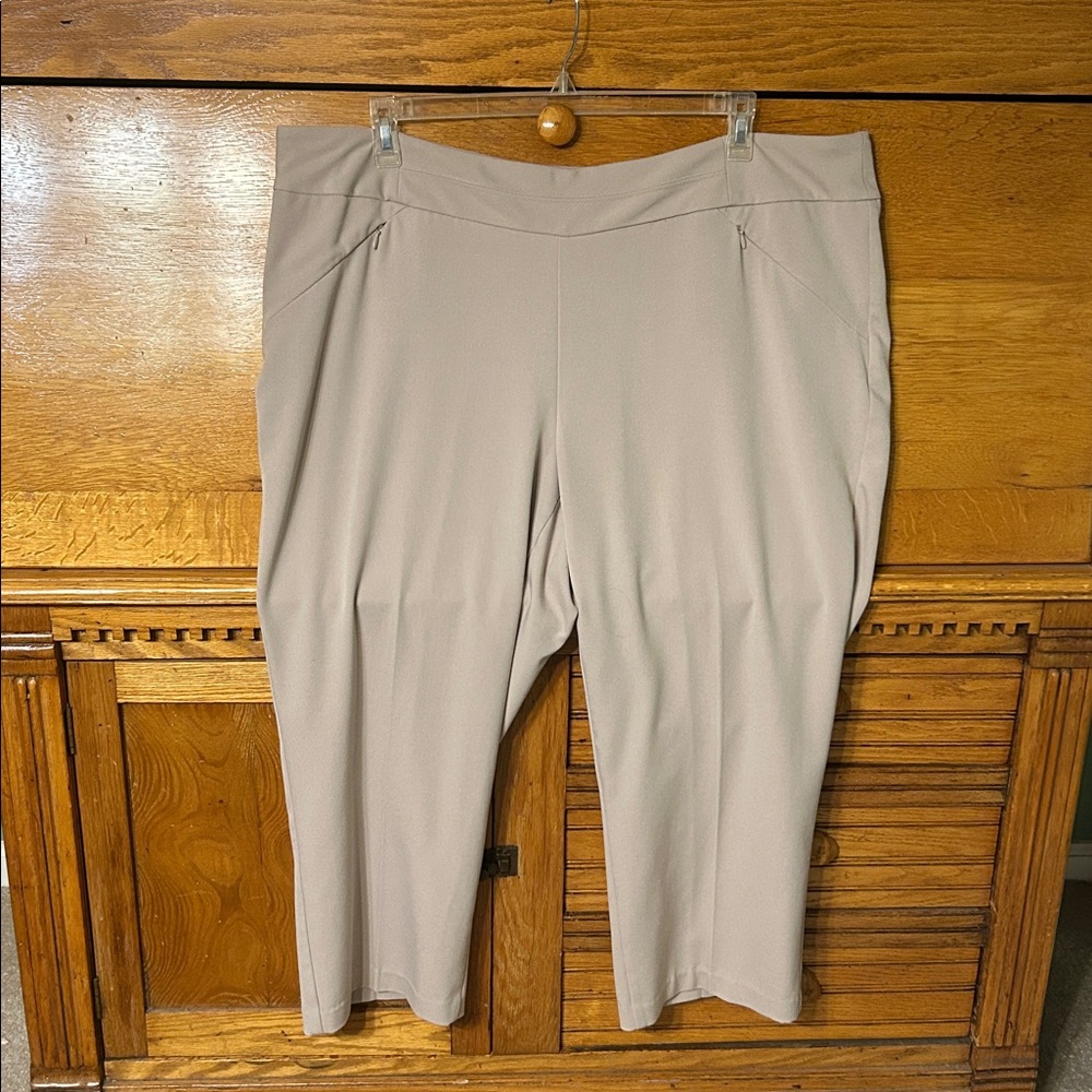 Investments II Tan Flat Front Stretch Waist 22 WS Ankle Pants Zip Front Pockets